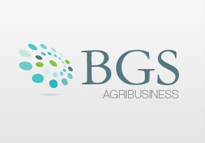 Proyecto Agribusiness BGS